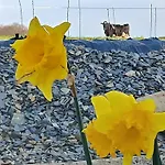 Lakeview Farm Appartement Castletown (Tipperary)