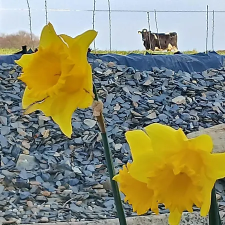 Lakeview Farm Appartement Castletown (Tipperary)