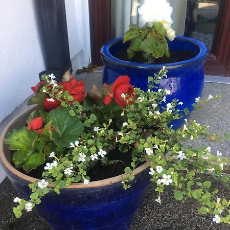 Апартаменты Lakeview Farm *