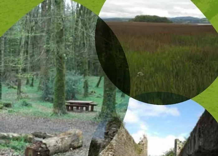 Apartamento Lakeview Farm Castletown (Tipperary)