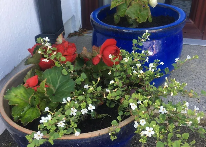 Apartamento Lakeview Farm *