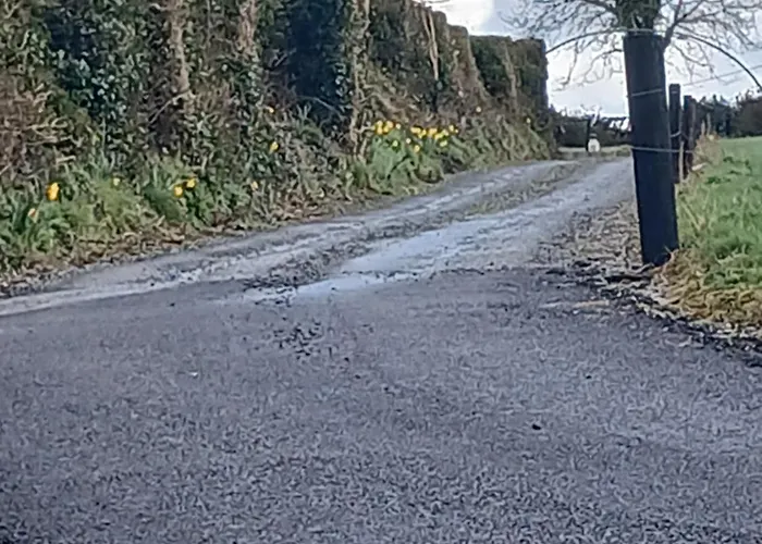 Lakeview Farm * Castletown (Tipperary)